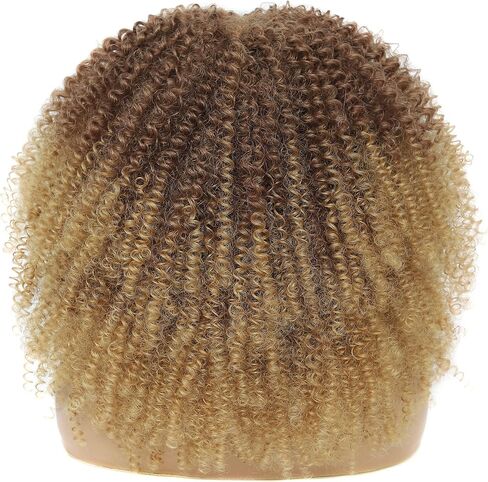 JStineke Curly-Wig-with-Bangs Curly-Afro-Wigs-for-Black-Women Big-Afro-Wig Glueless-Kinky-Curly-Wig Synthetic-Hair-Replacement-Wigs (16 Inch, brown ombre blonde) in Saudi Arabia