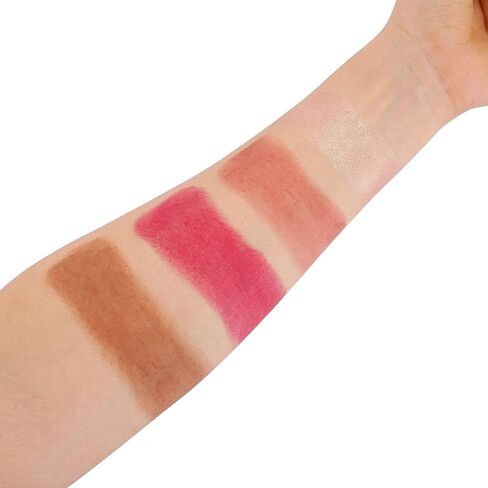 FANICEA 4 ألوان أحمر الخدود للخدود والشفاه غير اللامعة ثلاثية الأبعاد خافي عيوب الوجه وتسليط الضوء على مقاوم للماء يدوم طويلاً، كريم أساس طبيعي ناعم، مجموعة مكياج B in Kuwait