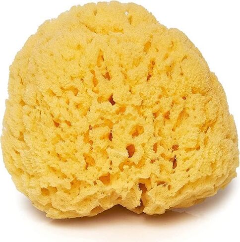 Return to Nature - Yellow Sea Sponge - Harvested in The USA, Gulf of Mexico Key West 4-5"" for Gentle Bath or Shower Exfoliation in Saudi Arabia