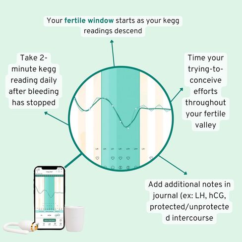 kegg Fertility Tracker + Free Fertility App | 12-Month Pregnancy Warranty | No Recurring Costs | Predicts Fertile Window | Helps Exercise Pelvic Floor Muscles in Saudi Arabia