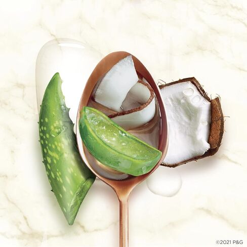 هير فود مجموعة شامبو وبلسم خالية من الكبريتات بزيت جوز الهند والصبار، 10.1 اونصة سائلة لكل عبوة in Kuwait