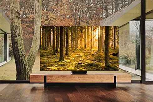 سامسونج 85 بوصة فئة Neo QLED 8K QN900B Series Mini LED Quantum HDR 64x، شاشة إنفينيتي، Dolby Atmos، Object Tracking Sound Pro، تلفزيون ذكي مع Alexa مدمج (QN85QN900BFXZA، موديل 2022) in Kuwait