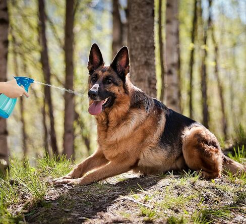 زجاجات رشاشات فارغة - عبوة من 3 قطع - بخاخ قابل لإعادة الملء سعة 30 أونصة - مانع للتسرب - بخاخة متينة مزودة برذاذ وأوضاع ستريم in Kuwait