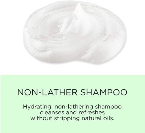 True Curl Non-Lather Shampoo. Vegan, Cruelty Free, Cleanse and Nourish Hair, Scalp. Silicone, Sulfate and Paraben-Free, 12 Fl Oz. in Saudi Arabia