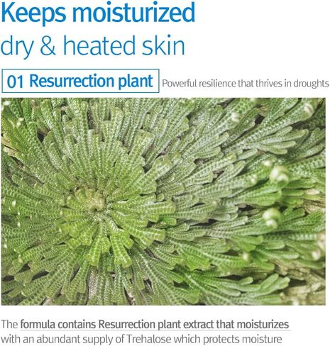 كريم بيونكانج يول للأطفال والرضع للوقاية من الشمس| واقي شمسي واسع الطيف SPF 50| آمن على الشعاب المرجانية، بدون قالب أبيض، خالٍ من العطور، واقي شمسي كوري مهدئ، مرطب للبشرة، حمض الهيالورونيك، مكونات طبيعية 2.53 أونصة سائلة. أوز. in Kuwait