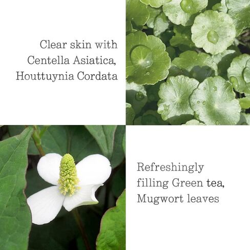 كريم بيونكانغ يول المرطب للشمس - لجميع أنواع البشرة، واسع الطيف بعامل حماية من الشمس SPF 50، واقي شمسي هجين آمن| آمن على الشعاب المرجانية، بدون قالب أبيض، لوشن واقي من الشمس مهدئ، حمض الهيالورونيك مرطب للبشرة| 2.53 فلوريدا أوقية. in Kuwait