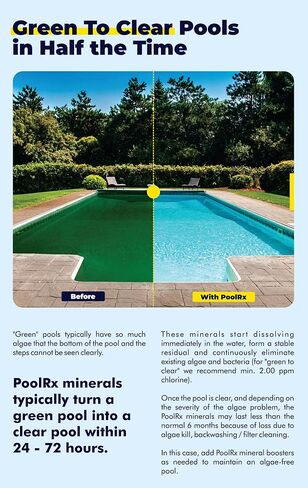 Pool RX 102001 6 Month Swimming Pool Algaecide Replacement, Single Unit, Blue in Saudi Arabia