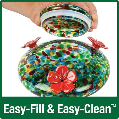 Nature's Way Bird Products Hand Blown Glass Hummingbird Feeder Bundle in Saudi Arabia