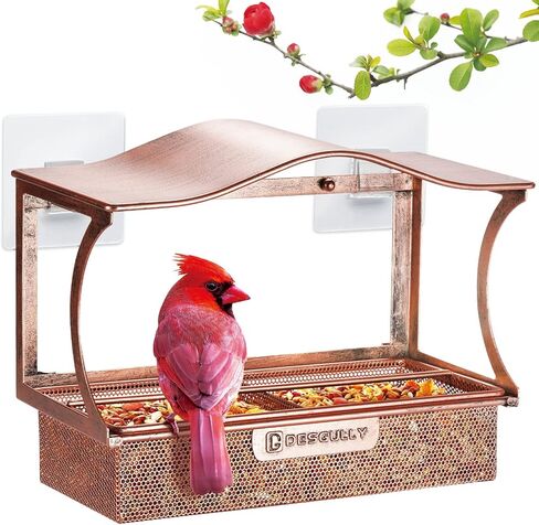 Window Bird Feeder, Desgully Durable Metal Window Bird Feeder, Window Bird Feeders with Strong Suction Cups, Super Adhesive Sheet×4，Large Outdoor Bird Feeder, Bird Watching Gift, Wild Bird Feeder in Saudi Arabia