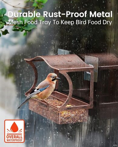 Window Bird Feeder, Desgully Durable Metal Window Bird Feeder, Window Bird Feeders with Strong Suction Cups, Super Adhesive Sheet×4，Large Outdoor Bird Feeder, Bird Watching Gift, Wild Bird Feeder in Saudi Arabia