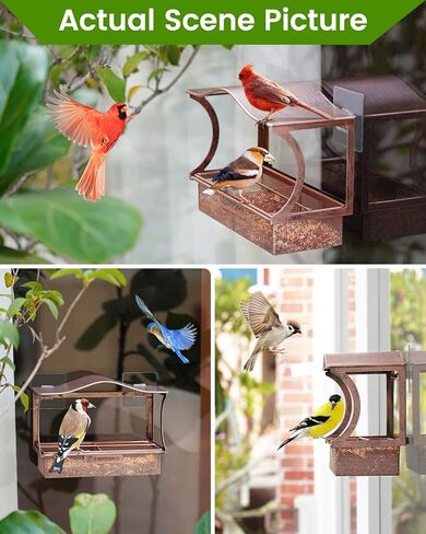 Window Bird Feeder, Desgully Durable Metal Window Bird Feeder, Window Bird Feeders with Strong Suction Cups, Super Adhesive Sheet×4，Large Outdoor Bird Feeder, Bird Watching Gift, Wild Bird Feeder in Saudi Arabia
