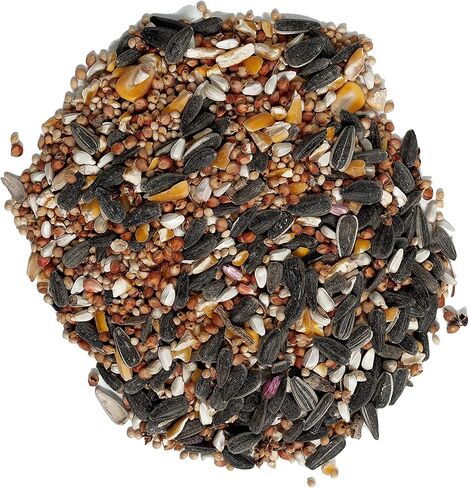 Wagner's 18542 Cracked Corn Wild Bird Food, 10-Pound Bag in Saudi Arabia