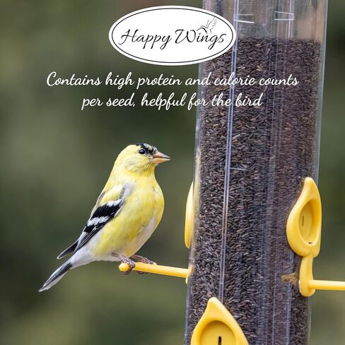Happy Wings Nyjer/Thistle Seeds Wild Bird Food - 10 Pounds I No Grow Seed I Bird Seed for Wild Birds in Saudi Arabia
