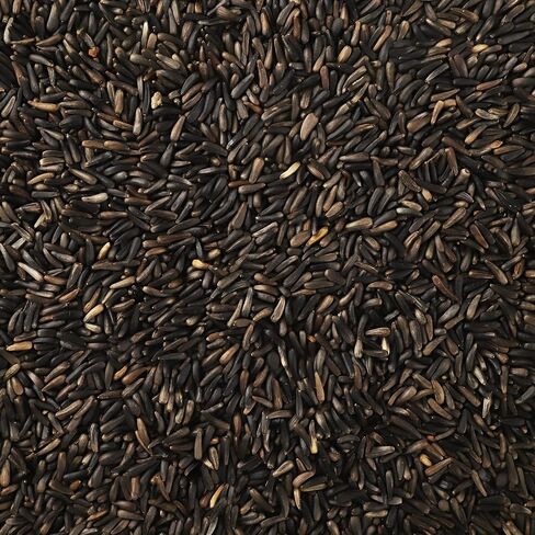 Happy Wings Nyjer/Thistle Seeds Wild Bird Food - 10 Pounds I No Grow Seed I Bird Seed for Wild Birds in Saudi Arabia