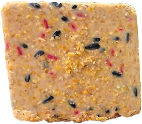Suet Cake 12 Pack | Case of 12 Suet Cakes for Wild Birds (Woodpecker High Energy) in Kuwait