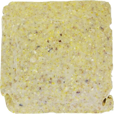 Suet Cake 12 Pack | Case of 12 Suet Cakes for Wild Birds (Woodpecker High Energy) in Kuwait