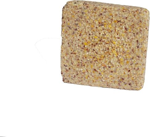 Suet Cake 12 Pack | Case of 12 Suet Cakes for Wild Birds (Woodpecker High Energy) in Kuwait