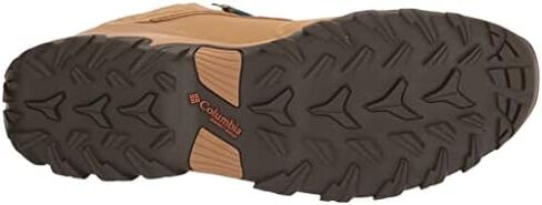 حذاء التنزه المقاوم للماء Newton Ridge Plus Ii من Columbia للرجال in Kuwait