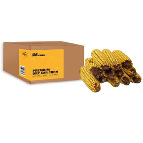 ذرة الأذن للحيوانات من أولد بوترز - محصول 2022 - ذرة ممتازة منتقاة يدويًا نمت في الولايات المتحدة الأمريكية لتغذية حيوانات الفناء الخلفي، رائعة للسناجب والغزلان والأرانب والحياة البرية الأخرى، عدد 24-30 in Kuwait