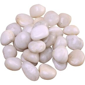 2lbs Small White Pebbles for Plants, 0.8-1.2 inch Decorative White River Rocks for Plants, Aquariums, Landscaping. White Stones for Planter Vase and Outdoor Garden Rocks