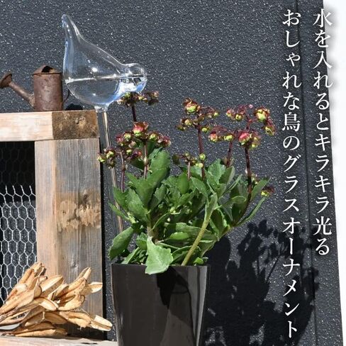 Esschert Design WH11 Bird Plant Waterer, Glass in Saudi Arabia