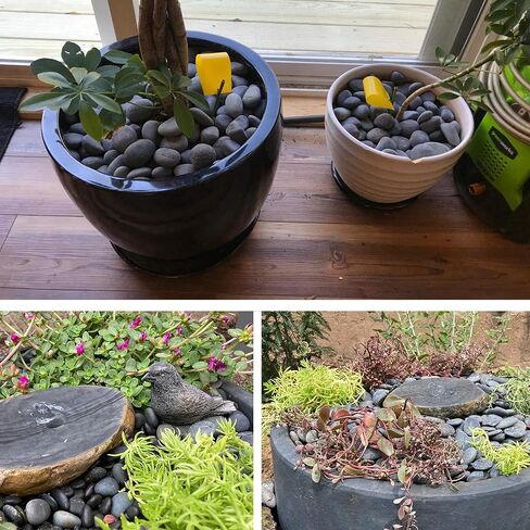 7LB River Rocks Mexican Beach Pebbles for Garden Landscape Plants Paving Grey 1Inch - 1.5Inch in Kuwait