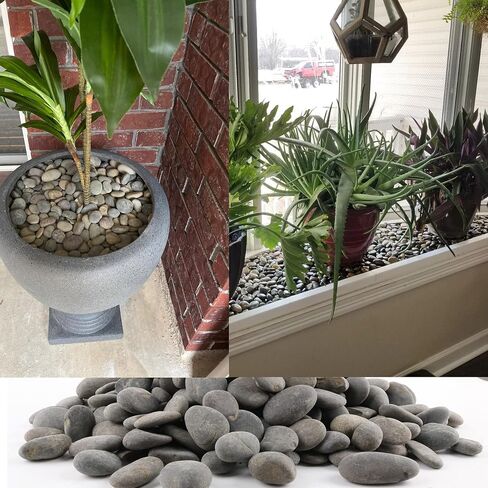 7LB River Rocks Mexican Beach Pebbles for Garden Landscape Plants Paving Grey 1Inch - 1.5Inch in Kuwait