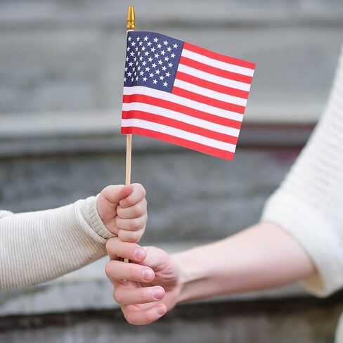 12 Pcs Small American Flags on Stick,4th of July Outdoor Decor Small US Flags Mini American 4''x6'' Flag, Fourth of July American Flags for Outside,Mini Flags for Outside Patriotic Holiday Yard Patio in Saudi Arabia