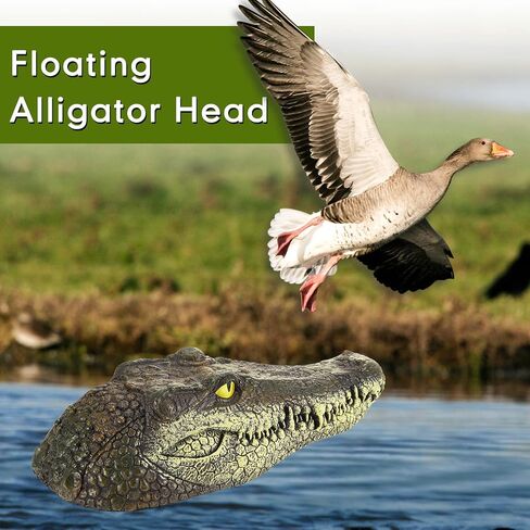 Floating Alligator Head Pool Accessories Float Alligator Fake Crocodile Head Decoy Crocodile Floating Head for Goose, Predator, Heron, Duck Control, Pool, Garden and Patio Accessories, 12.6 Inches in Saudi Arabia