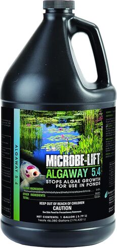 MICROBE-LIFT ALGA08 Algaway 5.4 علاج للتحكم في الطحالب للبرك والحدائق المائية، آمن لأسماك الكوي والأسماك الذهبية والنباتات والديكورات، 8 أونصات in Kuwait