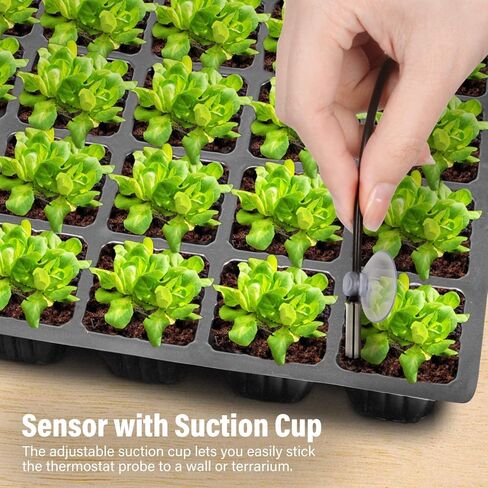 iPower GLHTMTCONTROL 40-108 Degrees Fahrenheit Digital Heat Mat Thermostat Controller for Seed Rooting Germination Reptiles, Fermentation and Brewing, 1000W-Black, Black in Kuwait