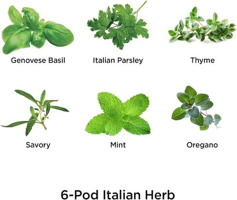 AeroGarden International Basil Seed Pod Kit (6-pod) in Saudi Arabia