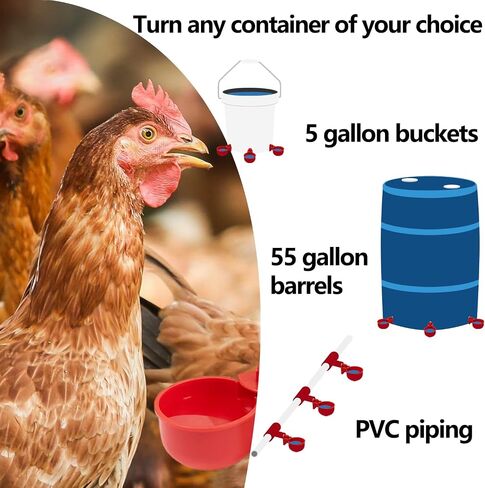 Chicken Waterer Cups 8 Pack Automatic Chicken Water Cups for Poultry LANARP Float Style Gravity Chicken Watering System, Water Feeder Kit, 5 Gallon with Mounting Hole Opener in Saudi Arabia