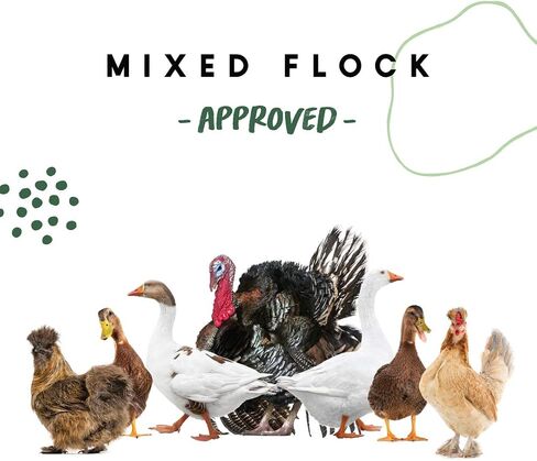 Manna Pro All Flock Crumbles with Probiotics, Chicken & Duck Food, 25 lb in Saudi Arabia