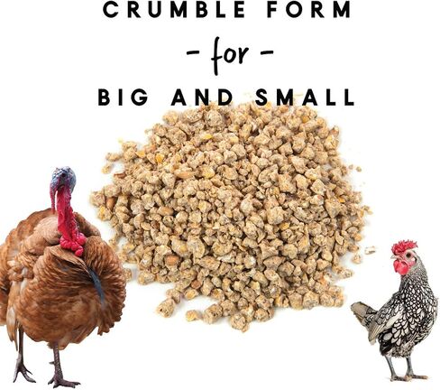 Manna Pro All Flock Crumbles with Probiotics, Chicken & Duck Food, 25 lb in Saudi Arabia