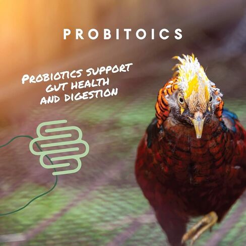 Manna Pro All Flock Crumbles with Probiotics, Chicken & Duck Food, 25 lb in Saudi Arabia