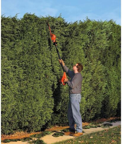BLACK+DECKER 20V MAX Cordless Pole Hedge Trimmer with Extra Lithium Battery 2.0 Amp Hour (LPHT120 & LBXR2020-OPE) in Saudi Arabia