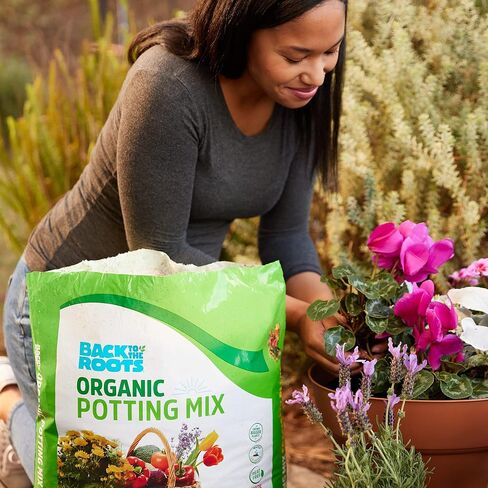 Back to the Roots All-Purpose Potting Mix 6 Quarts (Best Value), 100% Organic & USA Made ,Nutrient Rich Plant Food, Worm-Castings, & Moisture Controlling Yucca ( packaging may Vary ) in Saudi Arabia