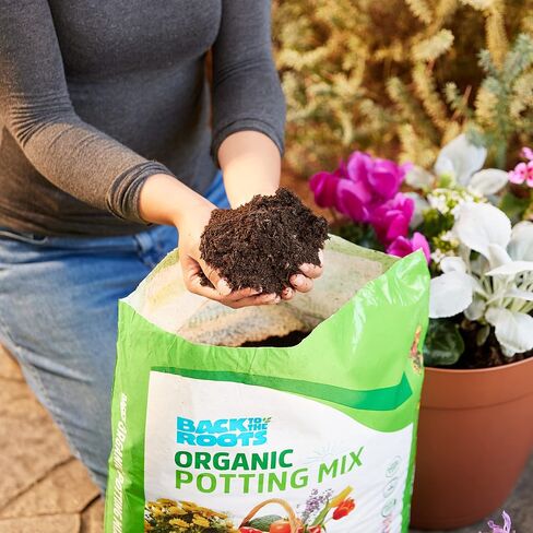 Back to the Roots All-Purpose Potting Mix 6 Quarts (Best Value), 100% Organic & USA Made ,Nutrient Rich Plant Food, Worm-Castings, & Moisture Controlling Yucca ( packaging may Vary ) in Saudi Arabia