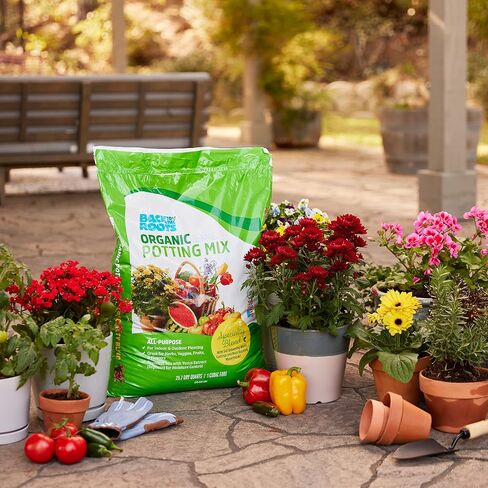 Back to the Roots All-Purpose Potting Mix 6 Quarts (Best Value), 100% Organic & USA Made ,Nutrient Rich Plant Food, Worm-Castings, & Moisture Controlling Yucca ( packaging may Vary ) in Saudi Arabia