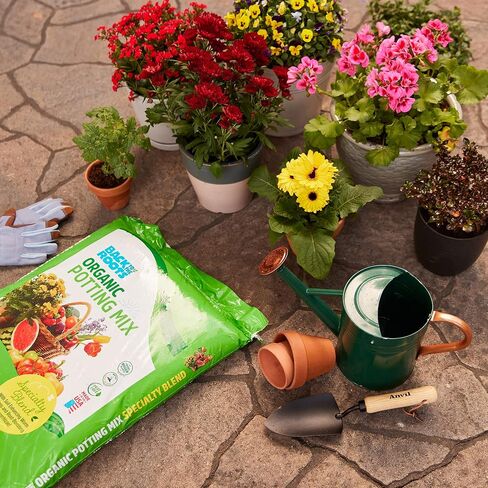 Back to the Roots All-Purpose Potting Mix 6 Quarts (Best Value), 100% Organic & USA Made ,Nutrient Rich Plant Food, Worm-Castings, & Moisture Controlling Yucca ( packaging may Vary ) in Saudi Arabia