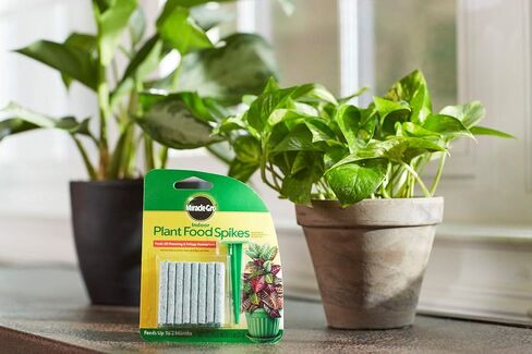 Miracle-Gro Indoor Plant Food Spikes, Includes 48 Spikes - Continuous Feeding for all Flowering and Foliage Houseplants - NPK 6-12-6 in Saudi Arabia