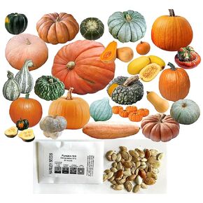 MIXED SEEDS! 50+ Pumpkin and Winter Squash MIX Seeds NON-GMO 25 Varieties Delicious Grown in USA. Rare, Super Profilic and Delicious HARLEY SEEDS in Saudi Arabia