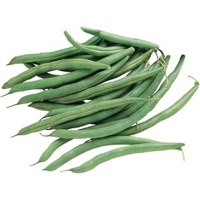 Burpee Blue Lake 274 Bush Bean Seeds 2 ounces of seed in Saudi Arabia