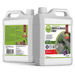 ECO Garden PRO - Organic Vinegar Weed Killer | Kid Safe Pet Safe | Clover Killer for Lawns | Moss Killer | Green Grass & Poison Ivy Killer | Spray Ready Glyphosate Free Herbicide (1 Gallon)