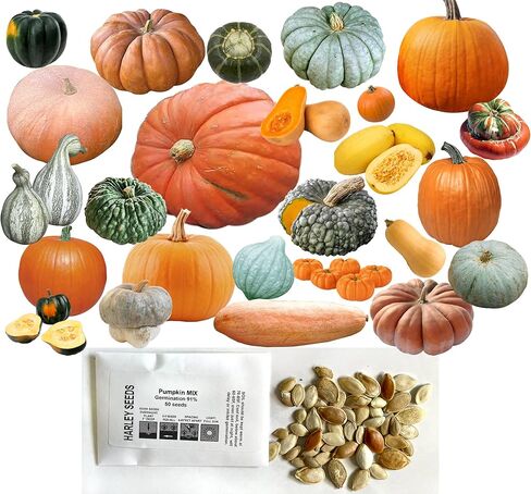 MIXED SEEDS! 50+ Pumpkin and Winter Squash MIX Seeds NON-GMO 25 Varieties Delicious Grown in USA. Rare, Super Profilic and Delicious HARLEY SEEDS in Saudi Arabia