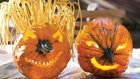 MIXED SEEDS! 50+ Pumpkin and Winter Squash MIX Seeds NON-GMO 25 Varieties Delicious Grown in USA. Rare, Super Profilic and Delicious HARLEY SEEDS in Saudi Arabia
