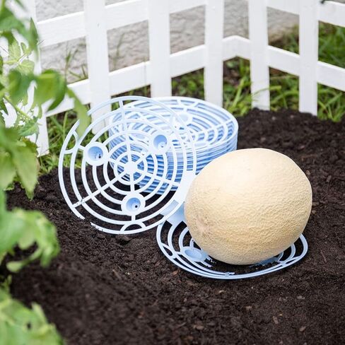 Homarden Melon Cradle - Pumpkin Support, Watermelon Holder Stand Trellis, Squash or Pumpkin Cradles, Plant & Garden Vegetable Supports for Cantaloupe, Honeydew, Pumpkins (Set of 12) in Kuwait