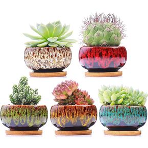 Cute Ceramic Succulent Garden Pots, Planter with Drainage and Attached Saucer, Set of 5 -Plants Not Included (Burner)
