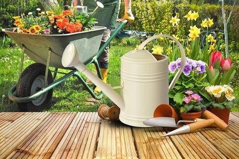 Watering Cans for House Plants, Small, Indoor/Outdoor Plants Garden Flower (1/2 Gallon, Black) in Saudi Arabia